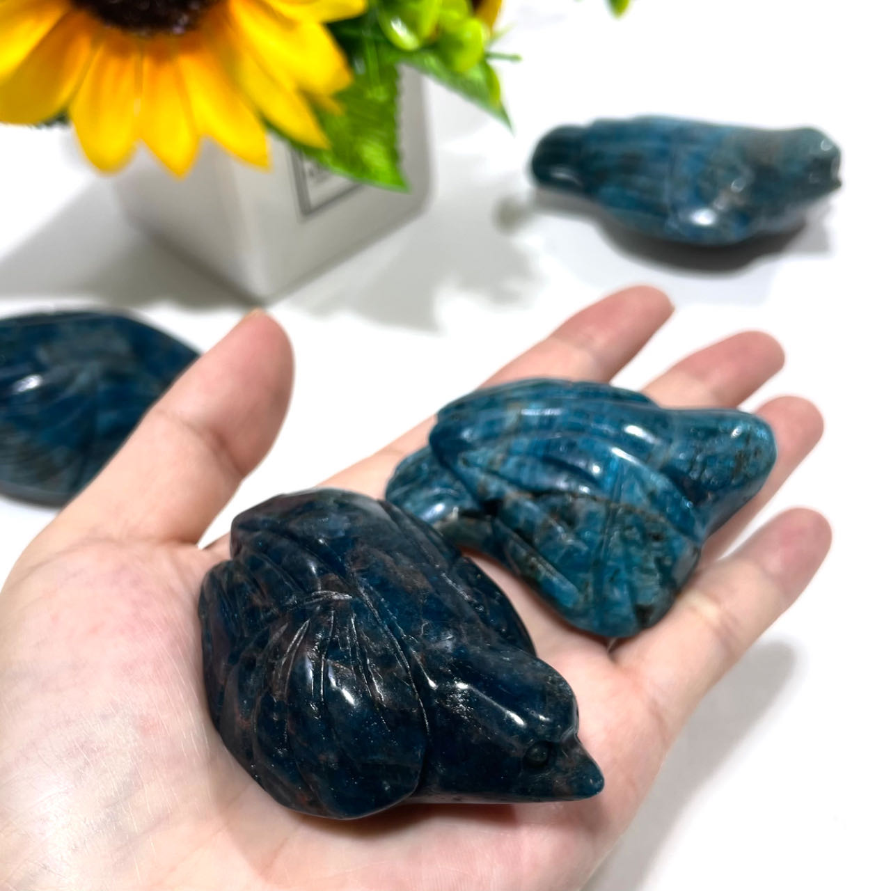 Blue Apatite Bird Crystal Carving Healing Crystal Gem Reiki Healing Home Decor Crystal Jewelry Shop Pretty Crystals From IG Crystal