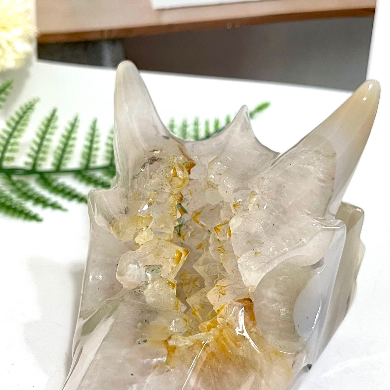 Druzy Dragon Head Natural Raw Geode Healing Stone Home Decoration From IG Crystal