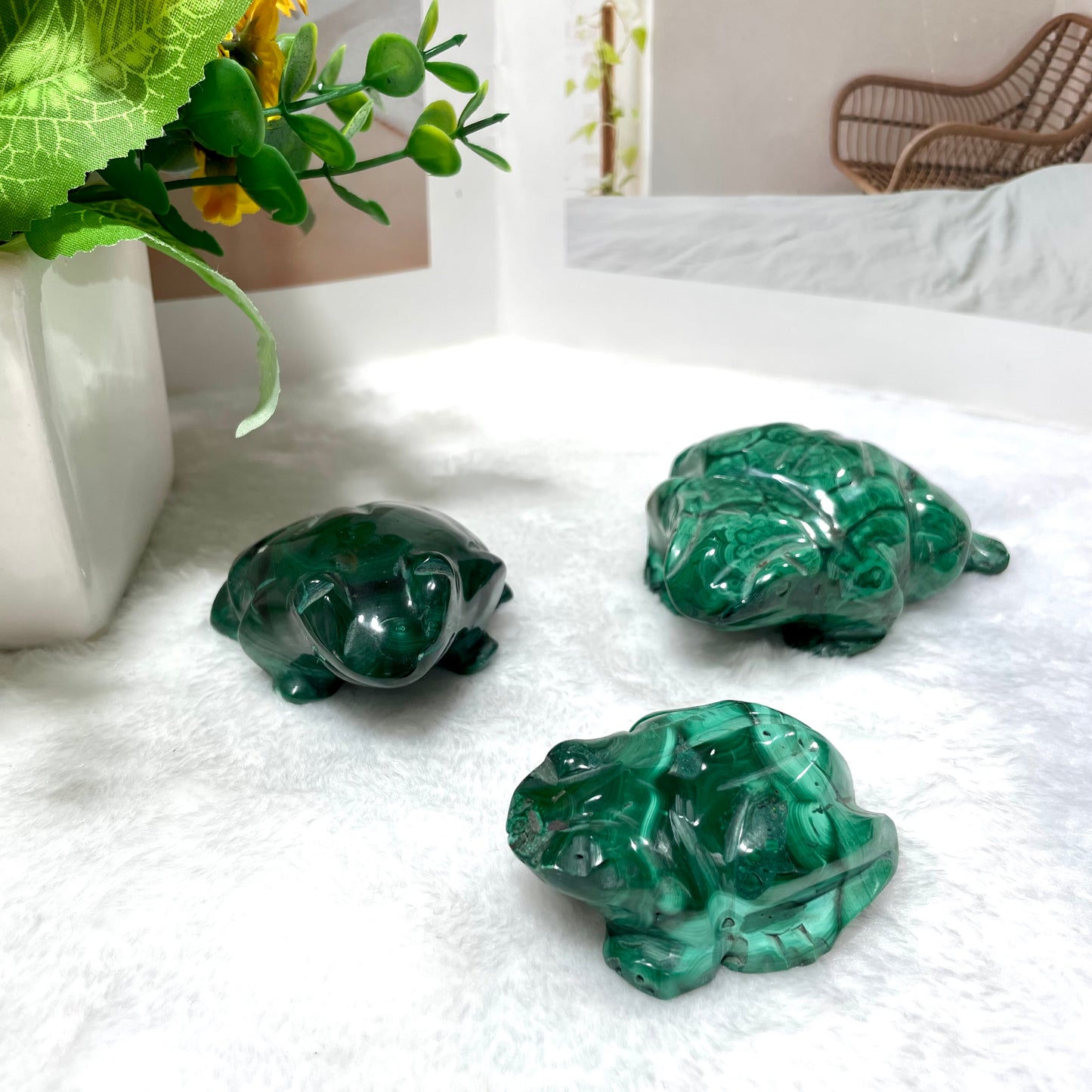 Malachite Owl Cat Frog Turtle Crystal Carving Natural Stone Gem Mining Chakra Balancing Reiki Healing Crystal Mystery Crystal Display Crystal Shopping Online Home Office Decor From IG Crystal