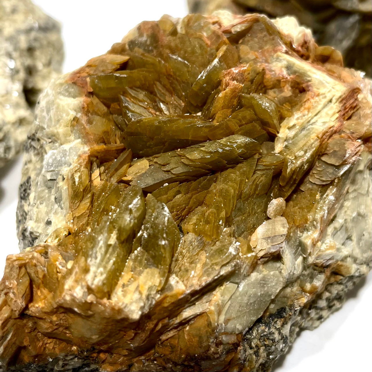 Siderite Cluster Geode Healing Crystal Gem Reiki Healing Home Decor Crystal Jewelry Shop Pretty Crystals From IG Crystal