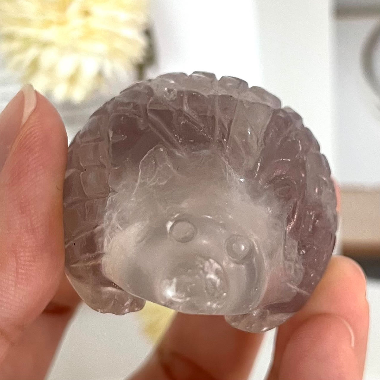 Different Maerail Small Hedgehog High Quality Natural Crystals (Stochastic 10pc) From IG Crystal