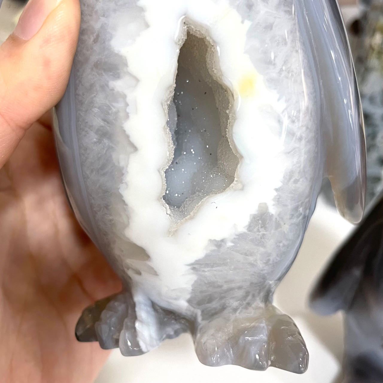 Penguin Druzy Natural Raw Geode From IG Crystal