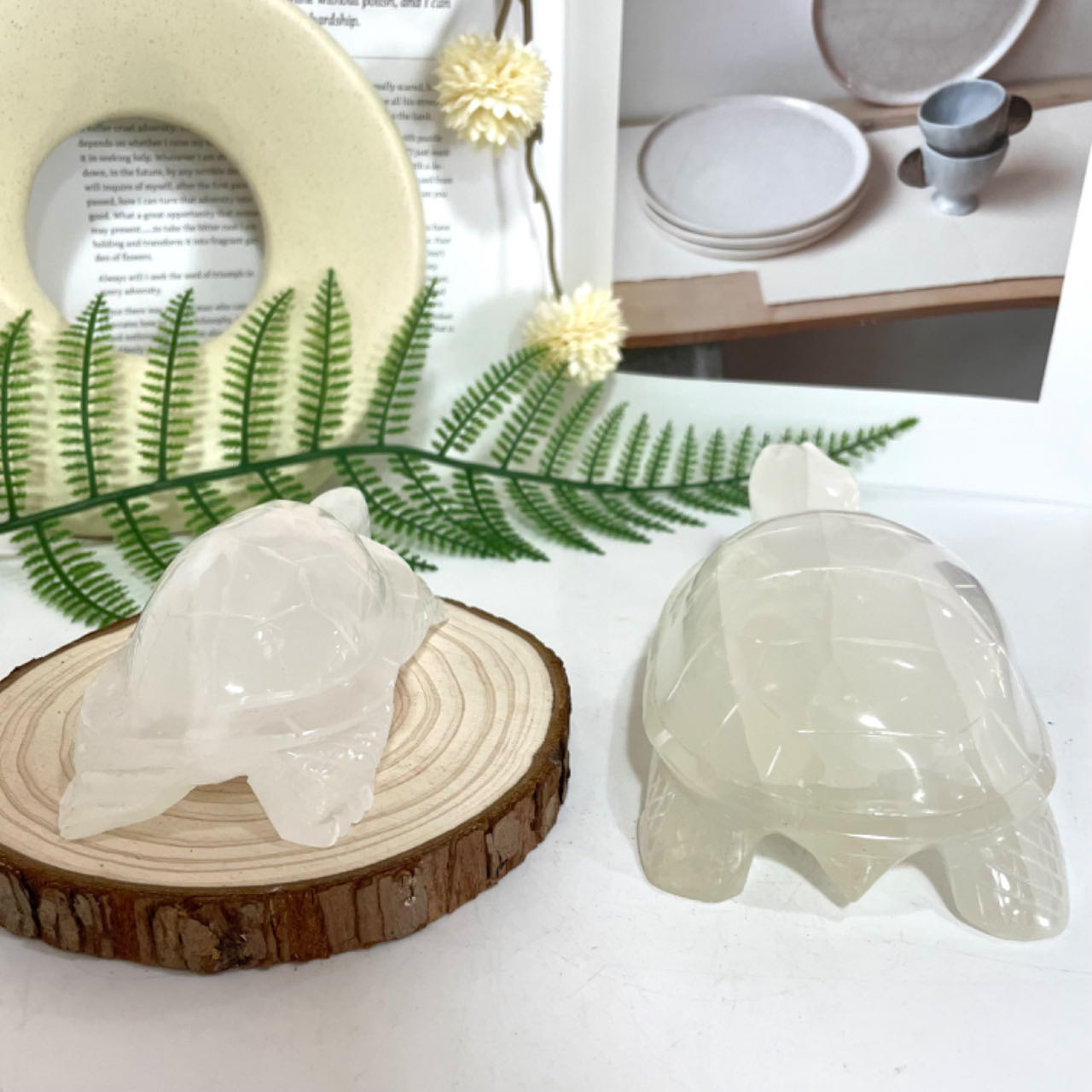 Selenite Turtle Crystal 1PCS Healing Stone for Spiritual Use Home Decor From IG Crystal