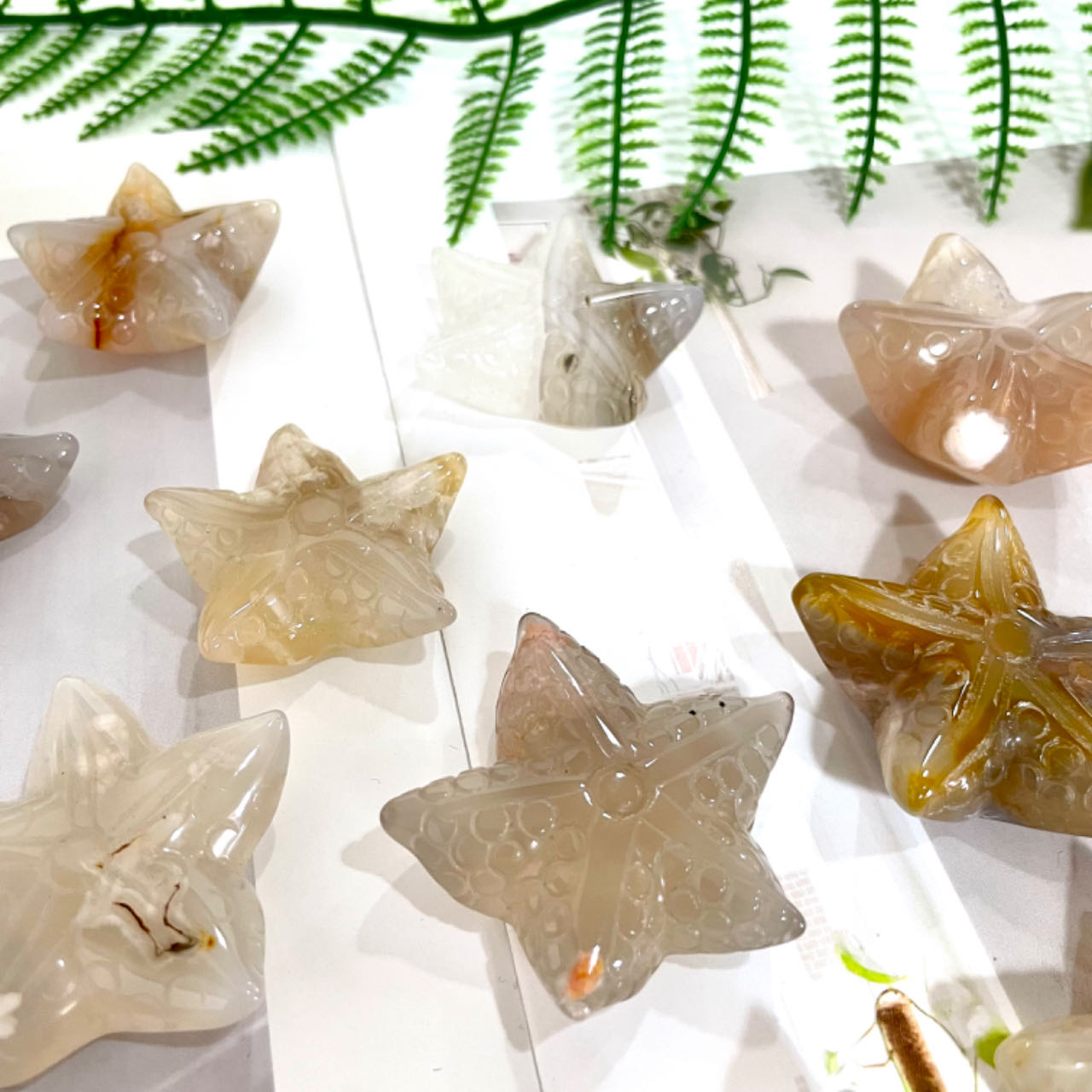 IG Crystal 10 Counts Starfish Shape Crystal Flower Agate Starfish Healing Crystal Home Decoration