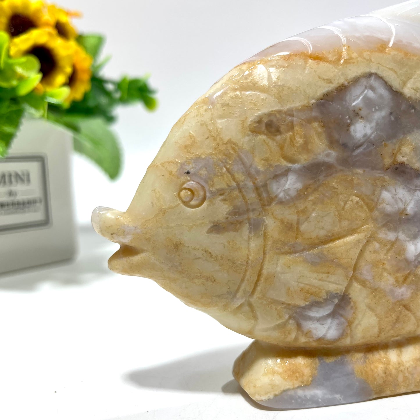 1 Count Chalcedony Fish Crystal Carving Healing Stones Natural Stone Chakra Balancing Reiki Home Office Decor From IG Crystal