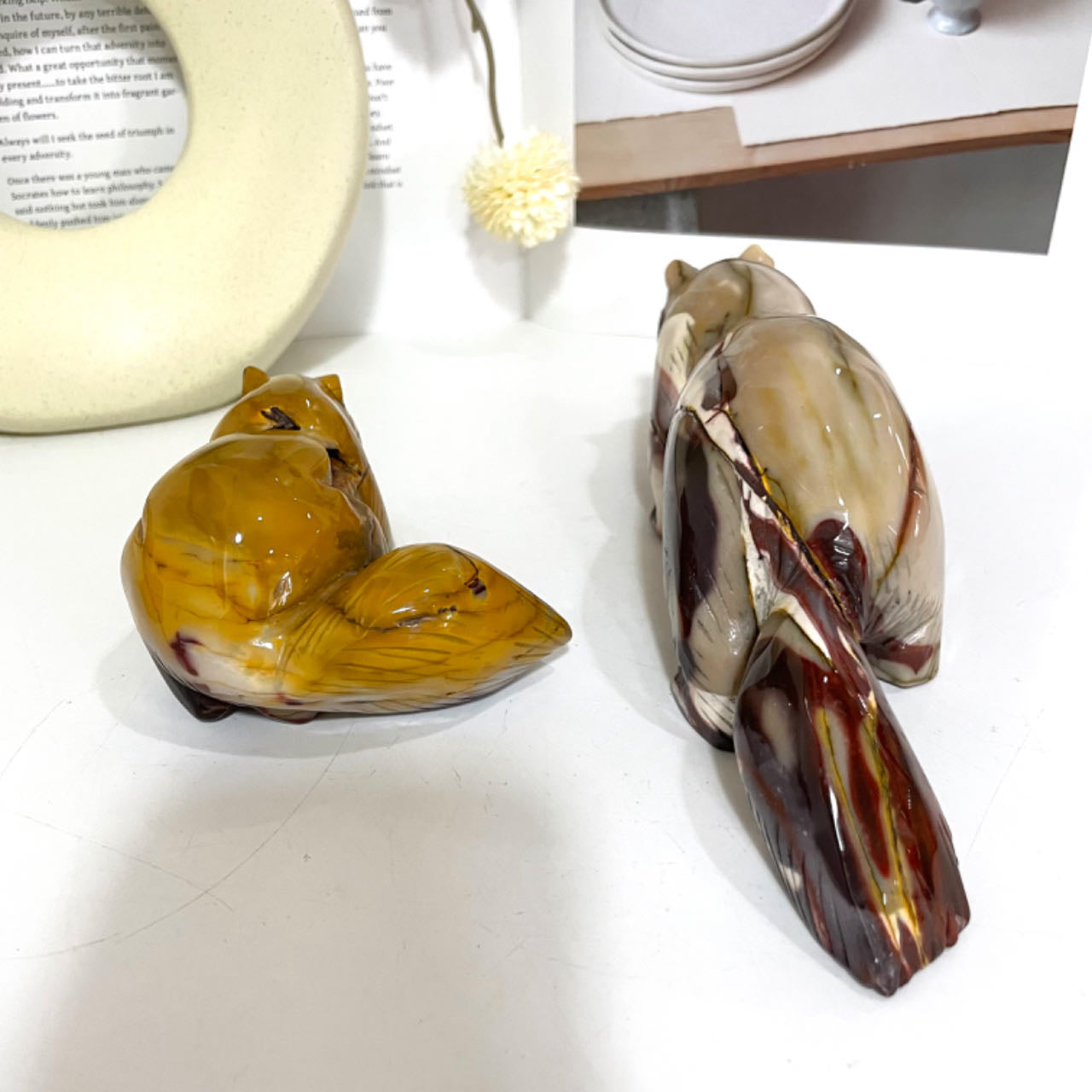 Moonkaite Jasper Animals Crystal Stochastic 1PCS Dog Squirrel Dinosaur Healing Stone Home Decoration From IG Crystal