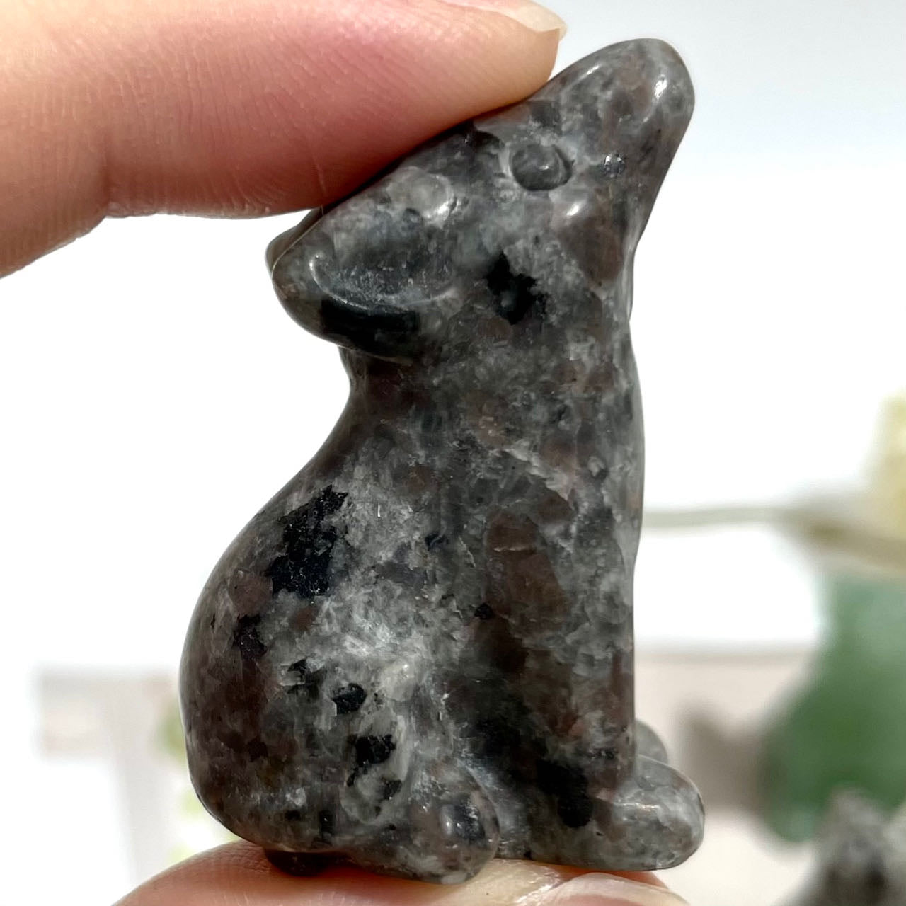 5 Counts Different Materials Small Wolf Crystal Clear Quartz Rose Quartz Green Aventurine Yooperlite Black Obsidian Red Que Sera Healing Crystal Home Decoration From IG Crystal