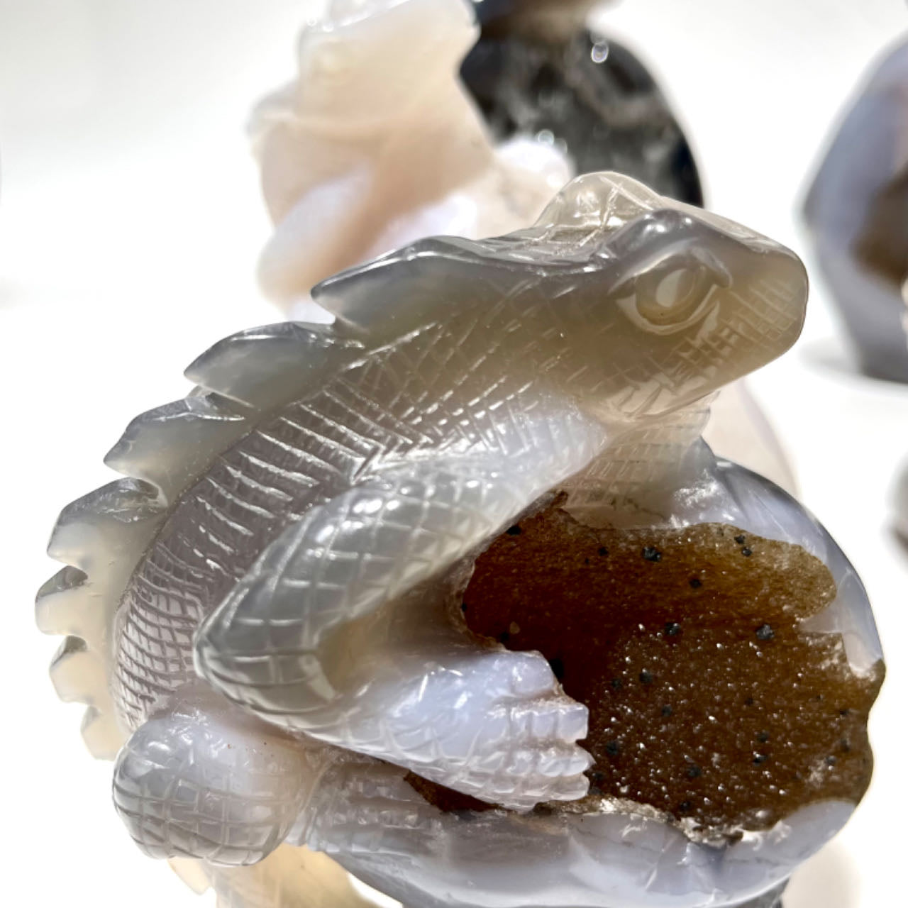 1 Count Geode Agate Lizard Healing Crystal Gem Reiki Healing Home Decor Crystal Jewelry Shop Pretty Crystals From IG Crystal