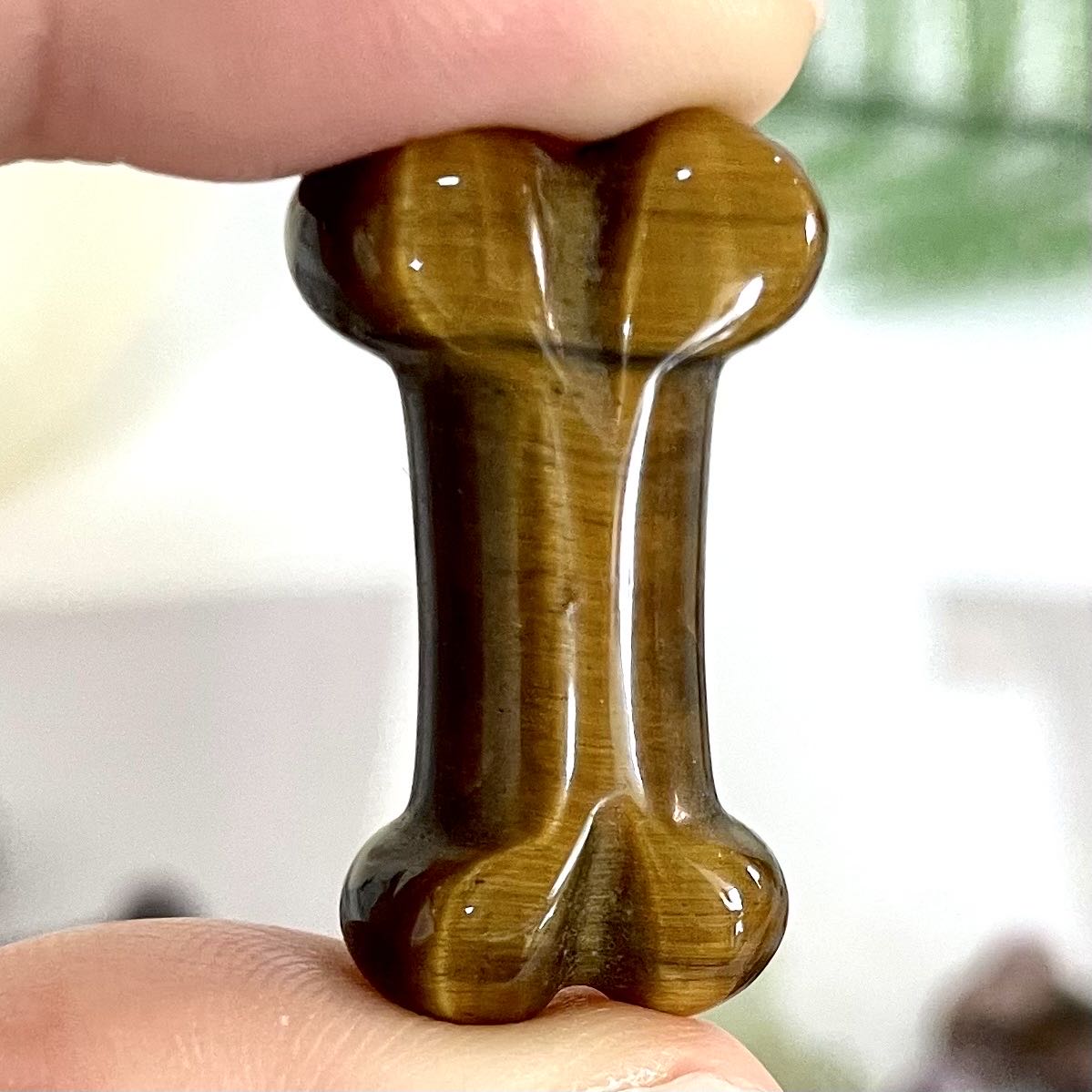 Dog Bone Crystals 10 Counts Carving Healing Stone Home decoration From IG Crystal