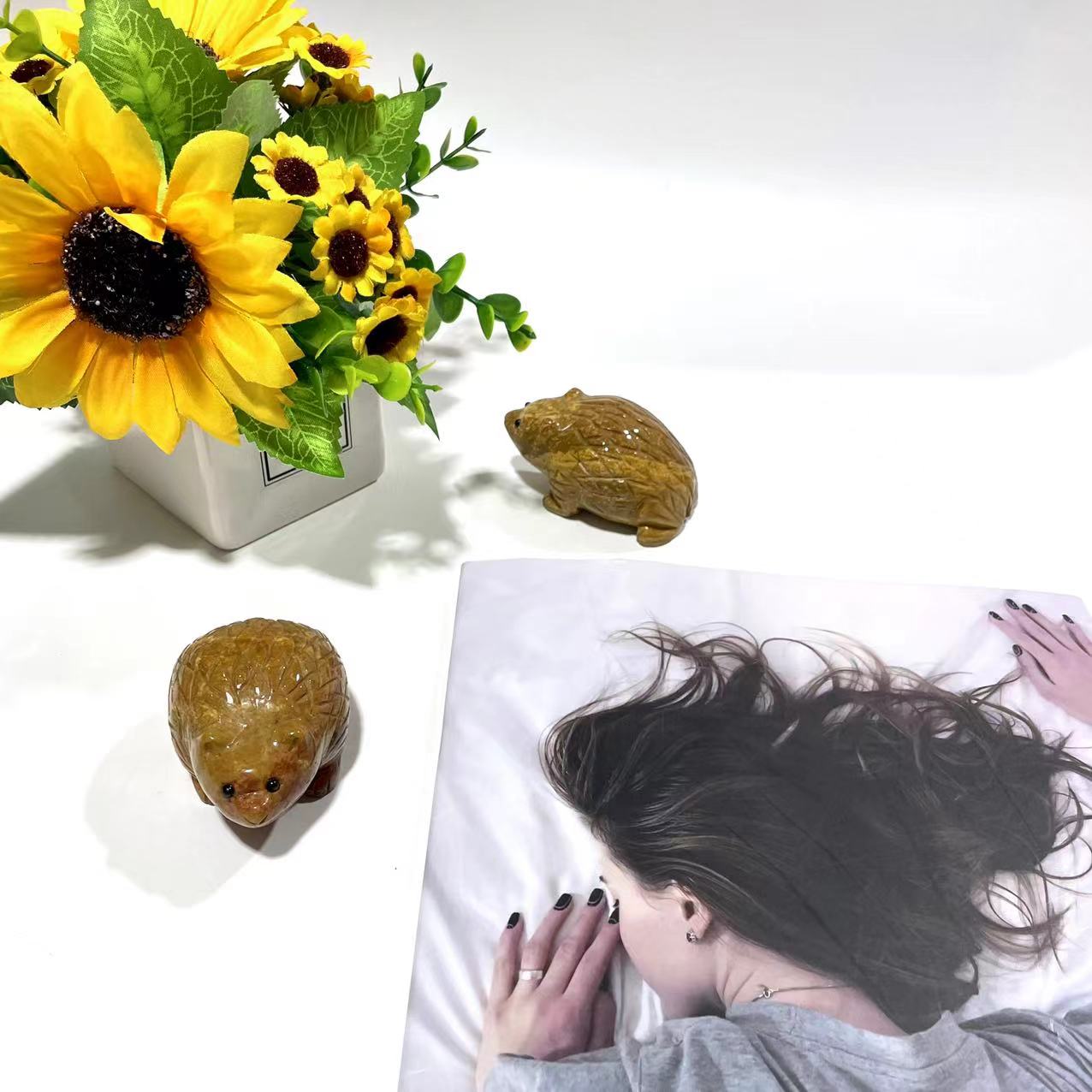 1 Count Ocean Jasper Hedgehog Crystal Carving Natural Stone Gem Mining Chakra Balancing Reiki Healing Crystal Mystery Crystal Display Crystal Shopping Online Home Office Decor From IG Crystal