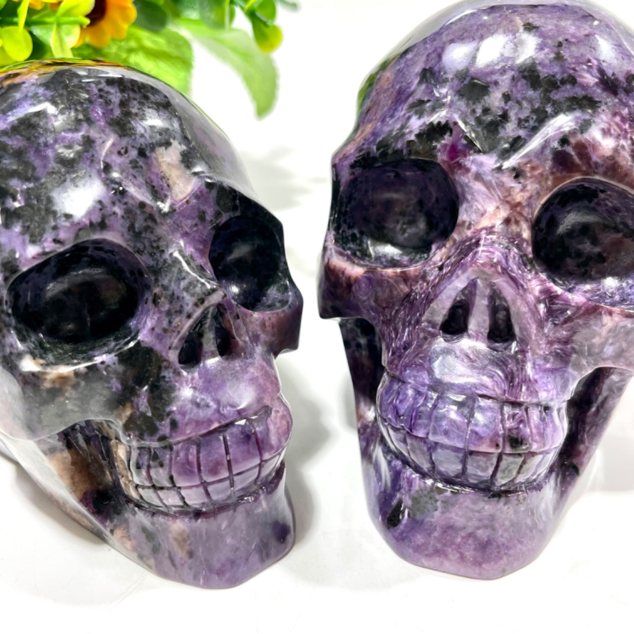 1 Count Big Charoite Skull Healing Crystal Gem Reiki Healing Home Decor Crystal Jewelry Shop Pretty Crystals From IG Crystal