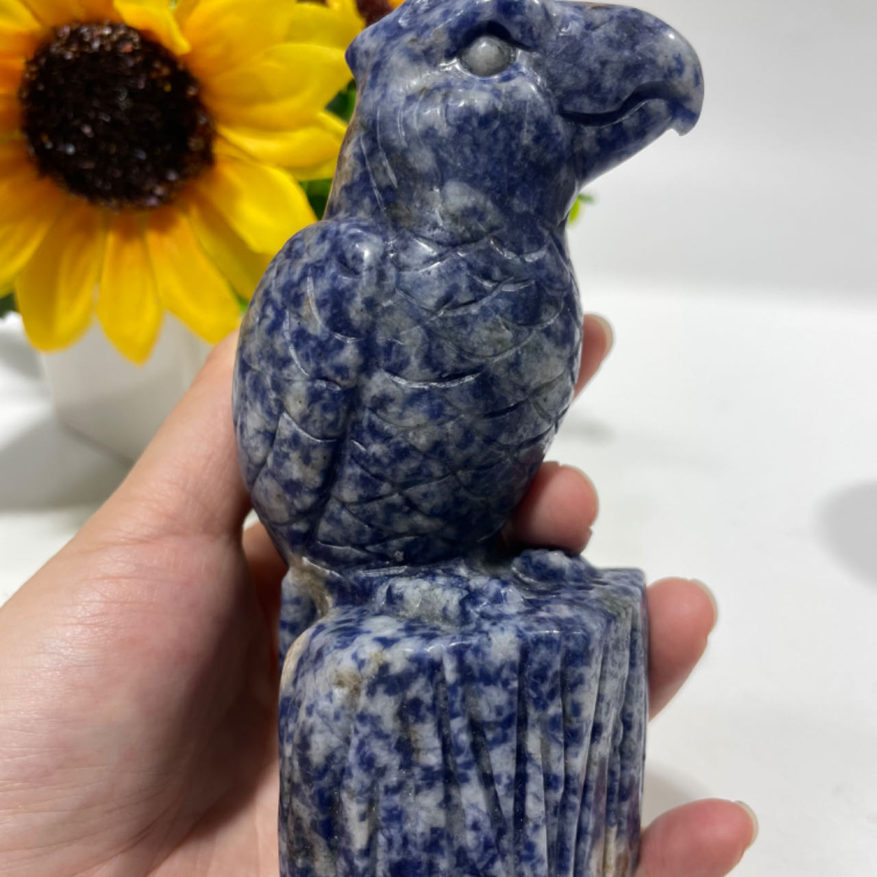 1 Count Sodalite Bird Crystal Carving Healing Crystal Gem Reiki Healing Home Decor Crystal Jewelry Shop Pretty Crystals From IG Crystal