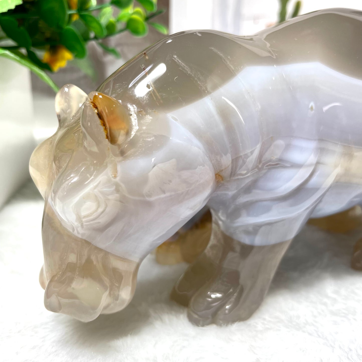 1 Count Geode Agate Bear Hippo Crystal Carving Natural Stone Gem Mining Chakra Balancing Reiki Healing Crystal Mystery Crystal Display Crystal Shopping Online Home Office Decor From IG Crystal