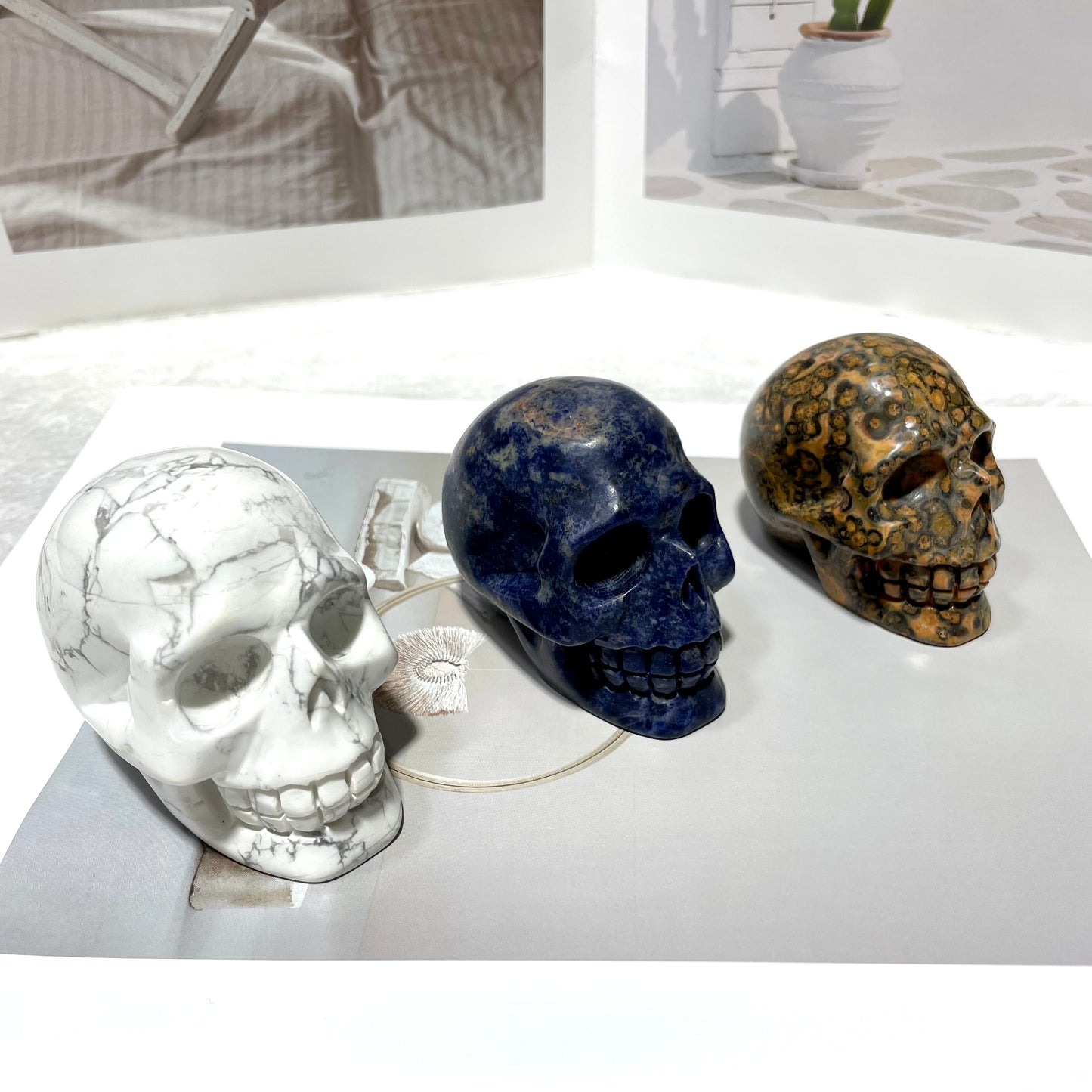 1 Count Different Materials Skull Crystal Carving Unakite Leopard Skin Jasper Purple/Blue Aventurine White Turquoise Red Jasper Sodalite Carribean Calcit Rohdnite Floriated Jasper Home Office Decor From IG Crystal