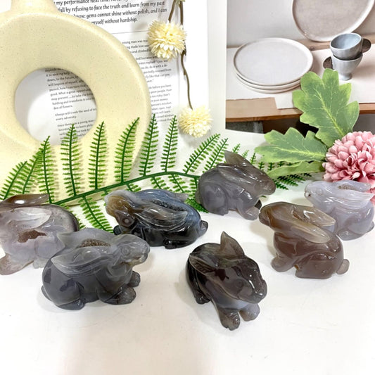 Rabbit Druzy Natural Raw Geode Stochastic 2PCS From IG Crystal