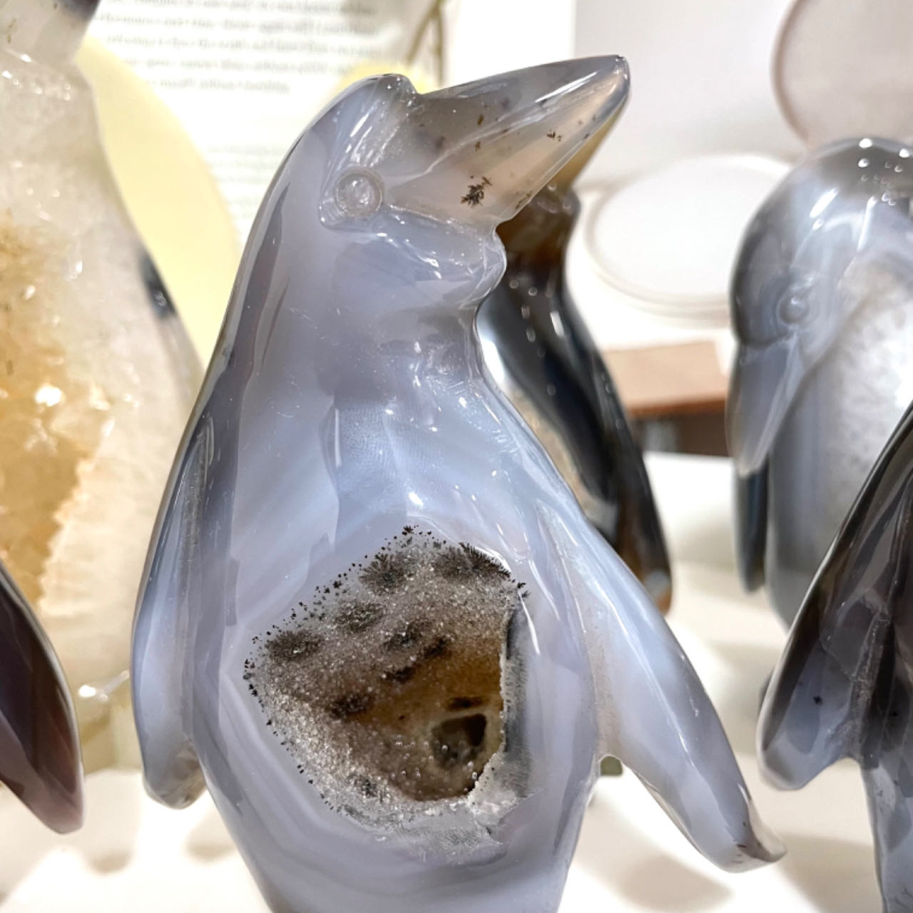 Penguin Druzy Natural Raw Geode From IG Crystal