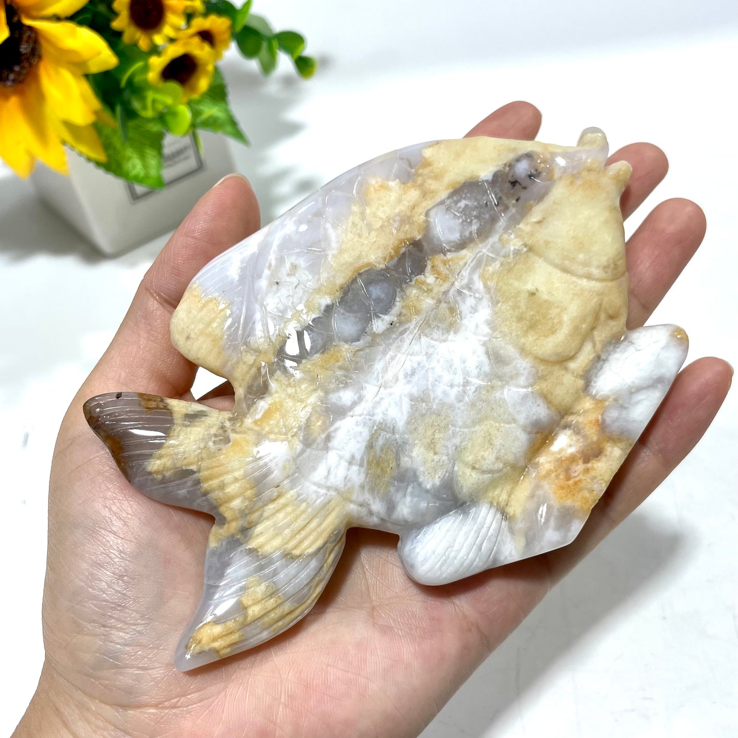 1 Count Chalcedony Fish Crystal Carving Healing Stones Natural Stone Chakra Balancing Reiki Home Office Decor From IG Crystal