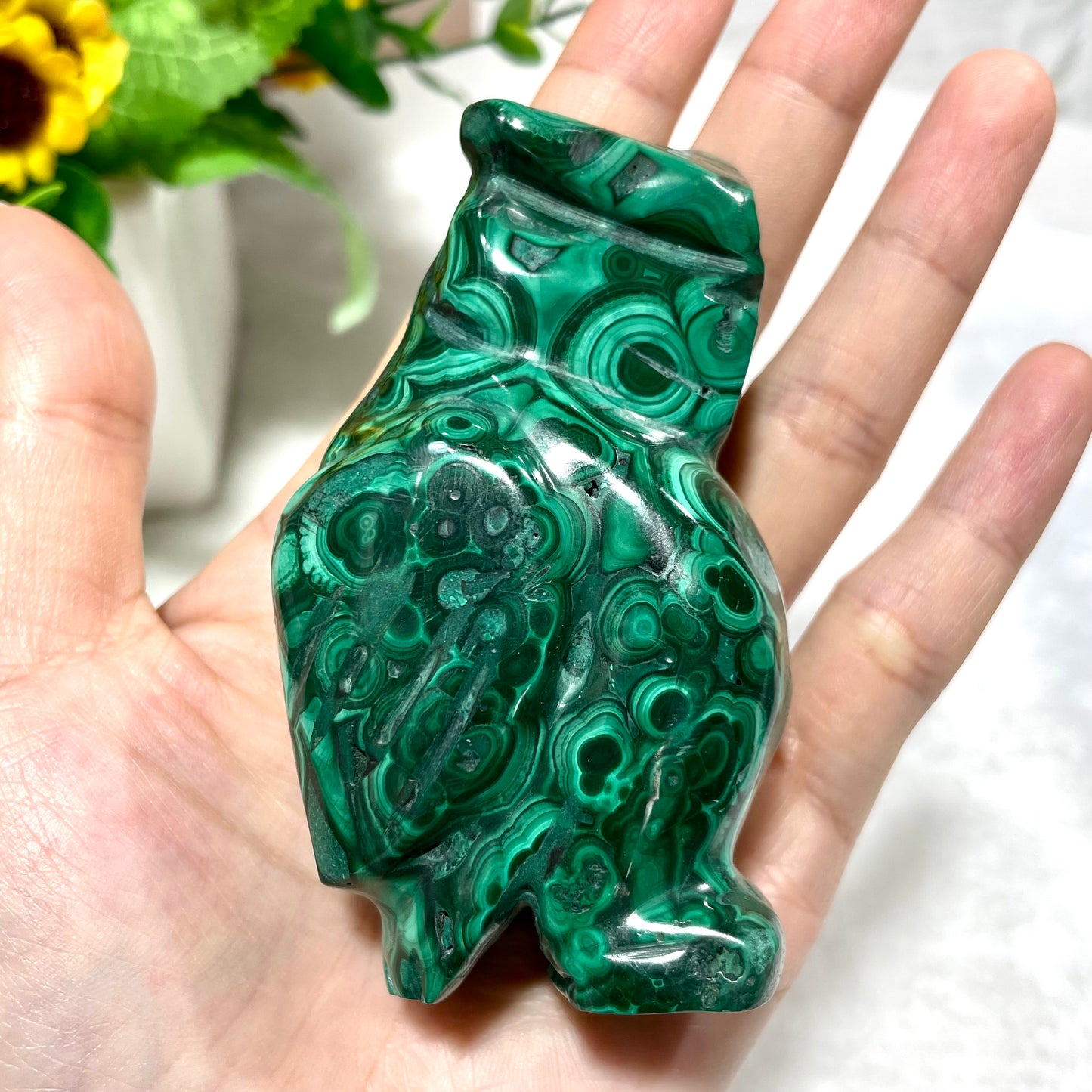 Malachite Owl Cat Frog Turtle Crystal Carving Natural Stone Gem Mining Chakra Balancing Reiki Healing Crystal Mystery Crystal Display Crystal Shopping Online Home Office Decor From IG Crystal