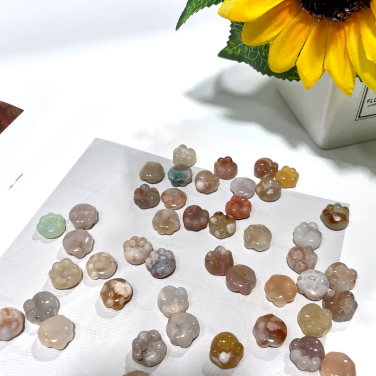 20 Counts Flower Agate Cat's Paw Crystal Healing Crystal Home Decoration From IG Crystal