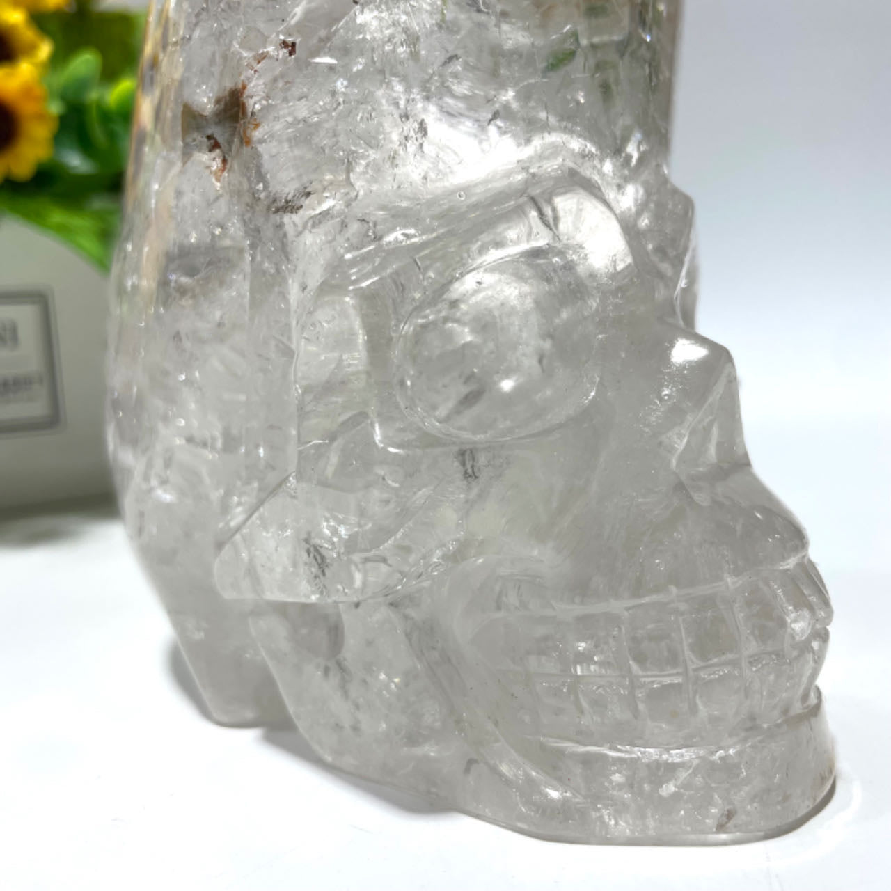 Clear Quartz Tall Skull Crystal Healing Crystal Gem Reiki Healing Home Decor Crystal Jewelry Shop Pretty Crystals From IG Crystal