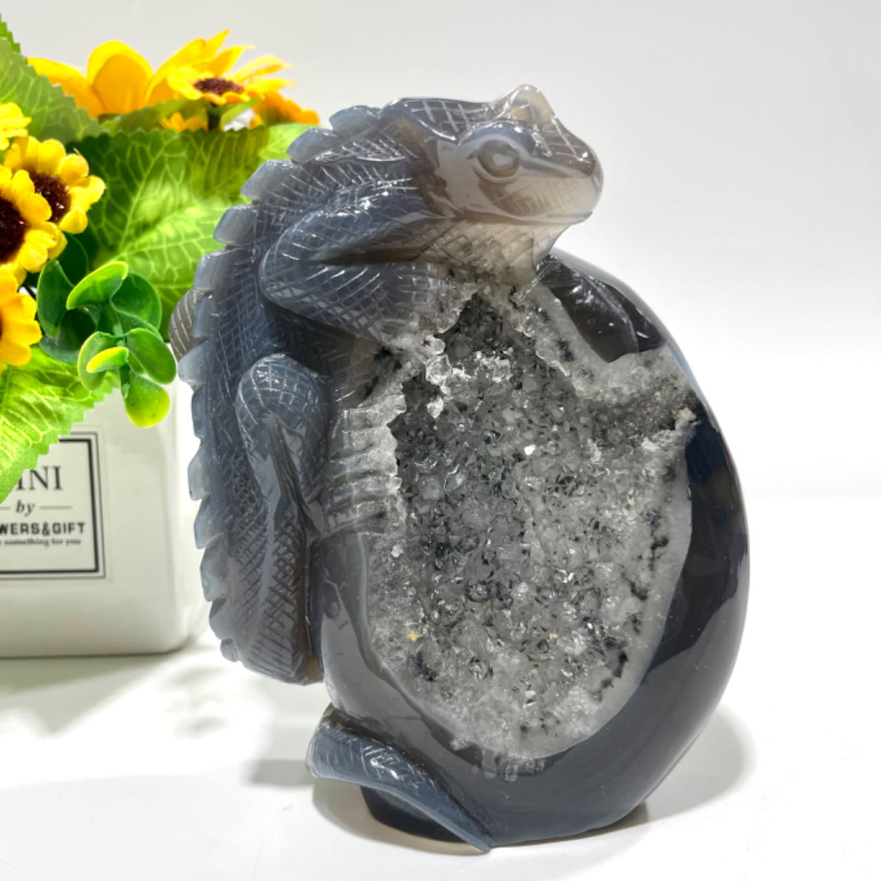 1 Count Geode Agate Lizard Healing Crystal Gem Reiki Healing Home Decor Crystal Jewelry Shop Pretty Crystals From IG Crystal
