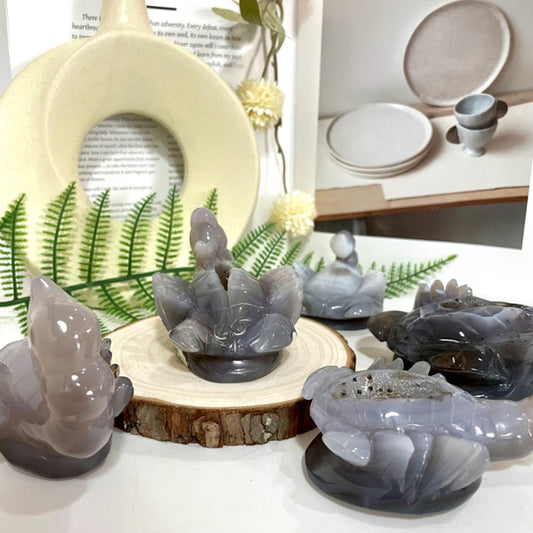 Druzy Crab Natural Raw Geode 1 Count Healing Stone Home Decoration From IG Crystal
