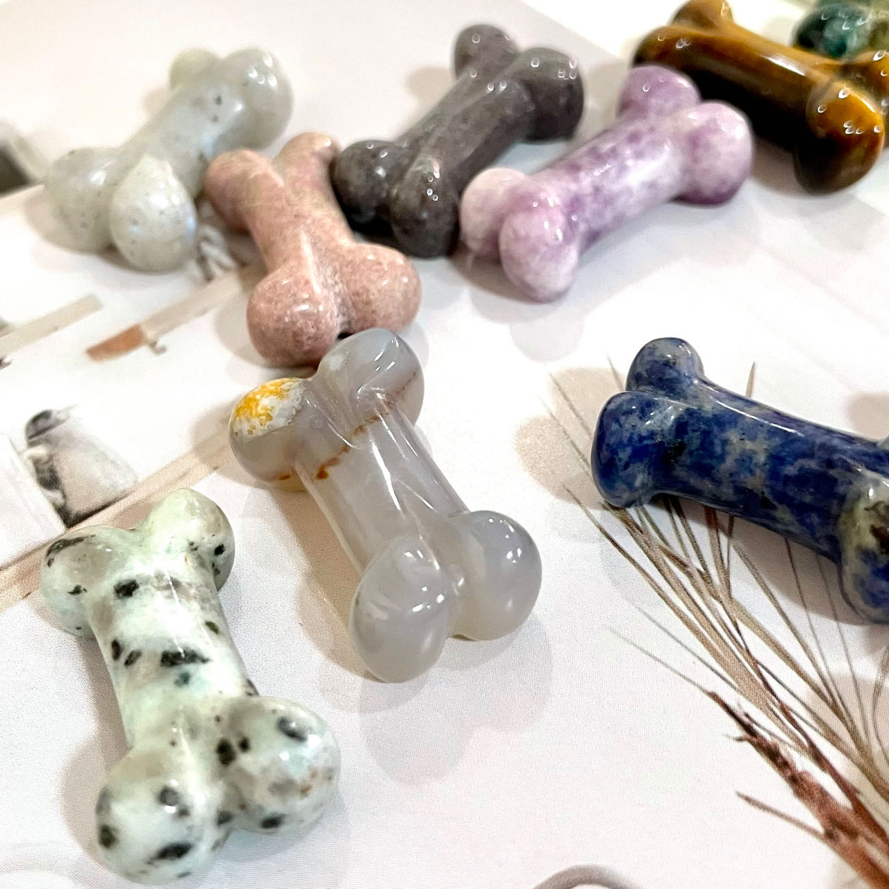 Dog Bone Crystals 10 Counts Carving Healing Stone Home decoration From IG Crystal