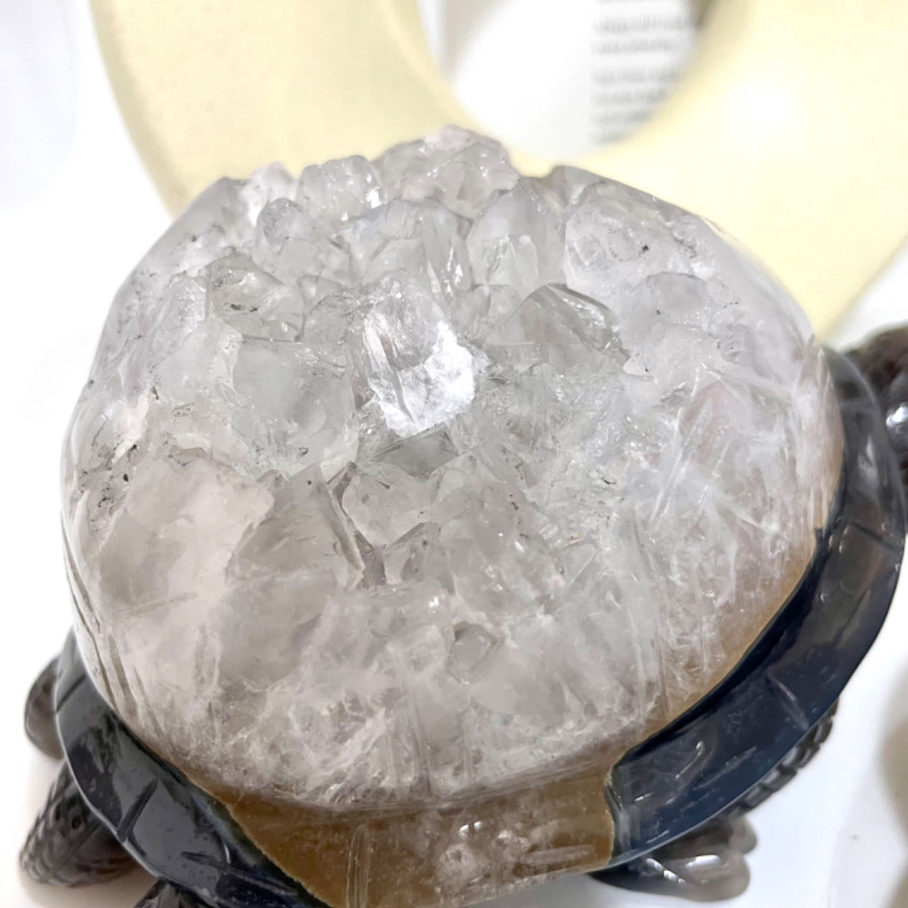 Turtle Druzy Natural Raw Geode From IG Crystal