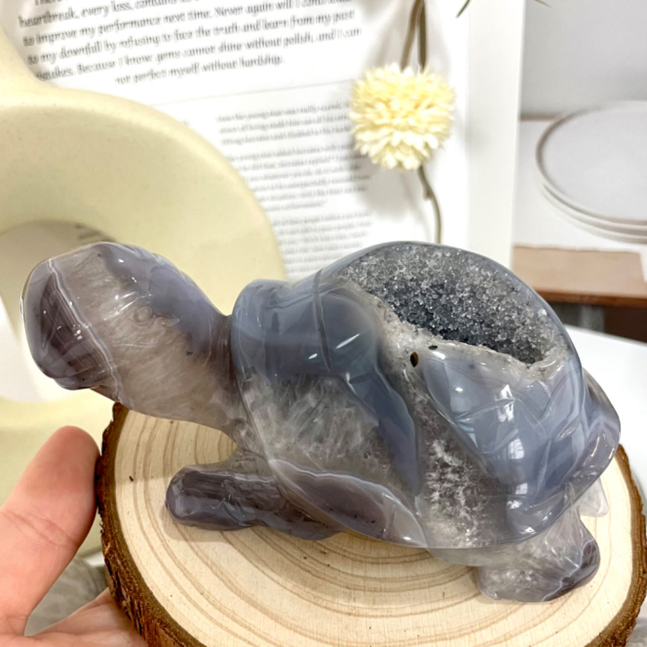 Turtle Druzy Natural Raw Geode From IG Crystal