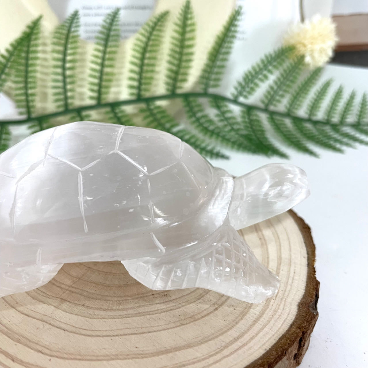 Selenite Turtle Crystal 1PCS Healing Stone for Spiritual Use Home Decor From IG Crystal