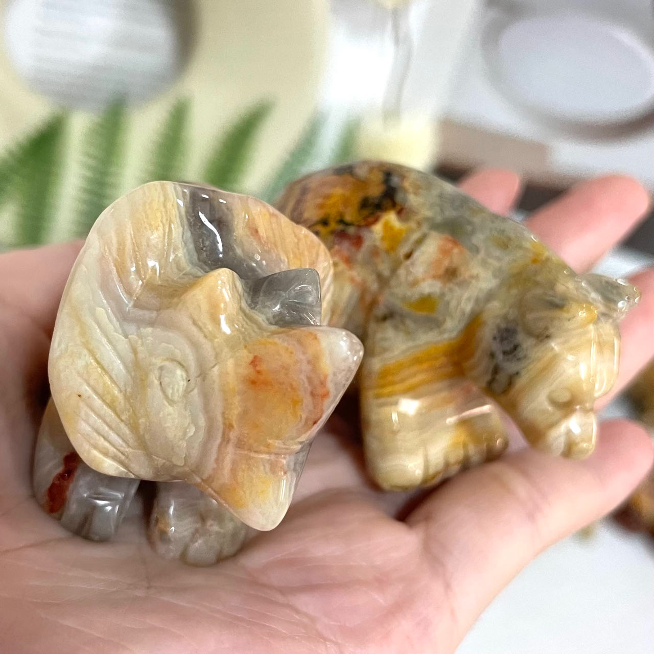 Crazy Lace Agate Animals Crystal Dog Dolphin Frog Cat Fish Shark Bear Rhinoceros Tortoise Healing Stone Home Decoration From IG Crystal