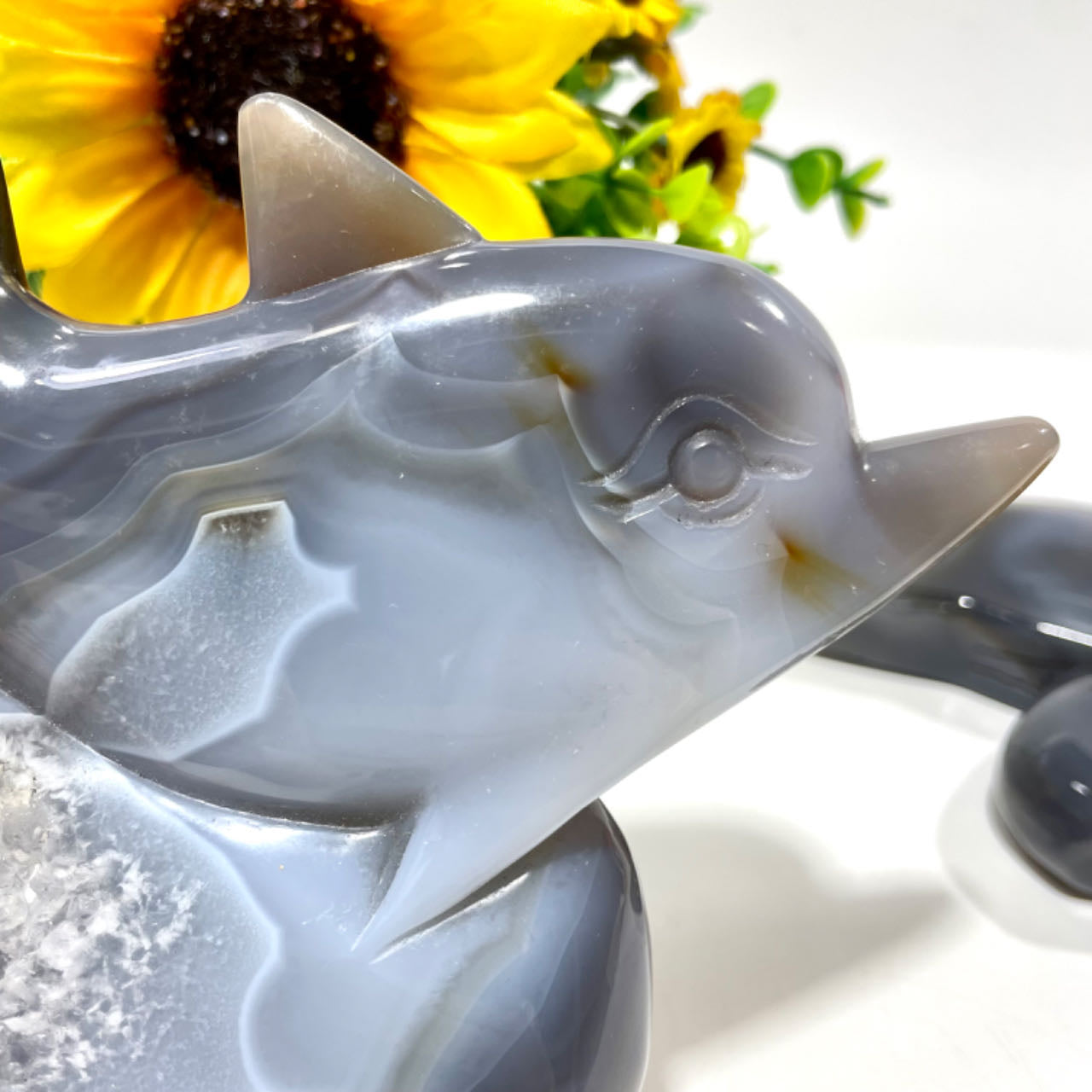 1 Count Geode Agate Dolphin Crystal Healing Crystal Gem Reiki Healing Home Decor Crystal Jewelry Shop Pretty Crystals From IG Crystal