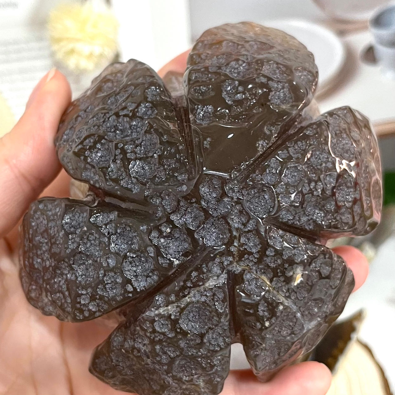Lotus Druzy Natural Raw Geode From IG Crystal