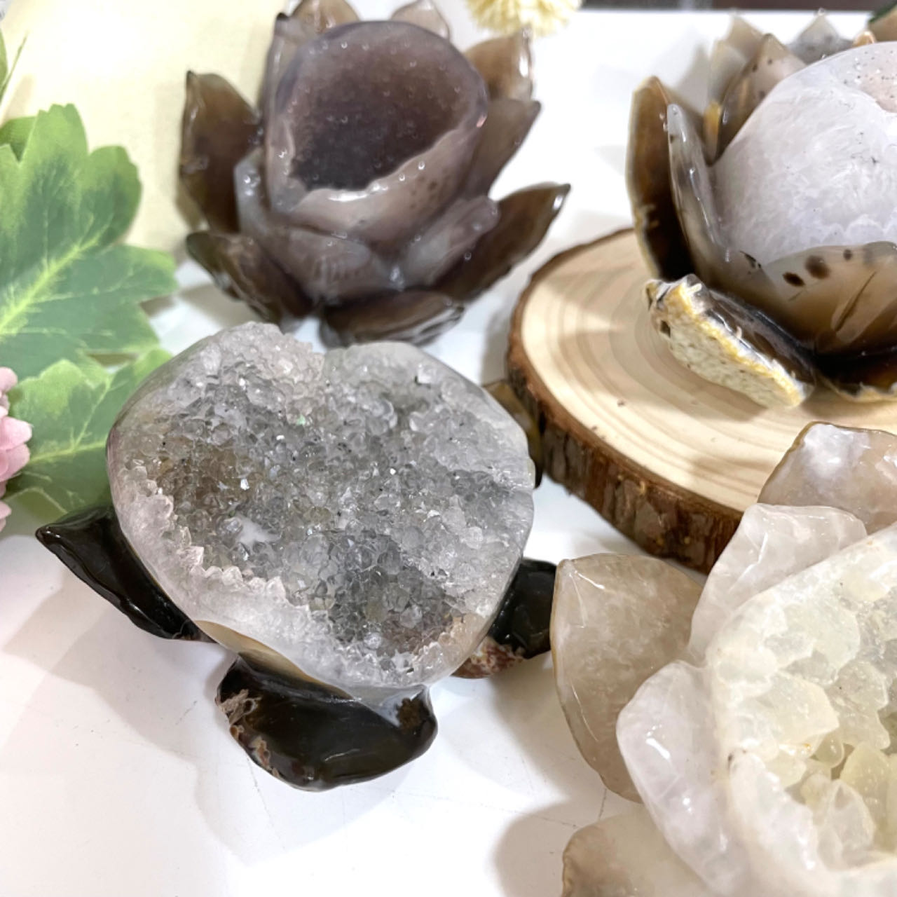 Lotus Druzy Natural Raw Geode From IG Crystal