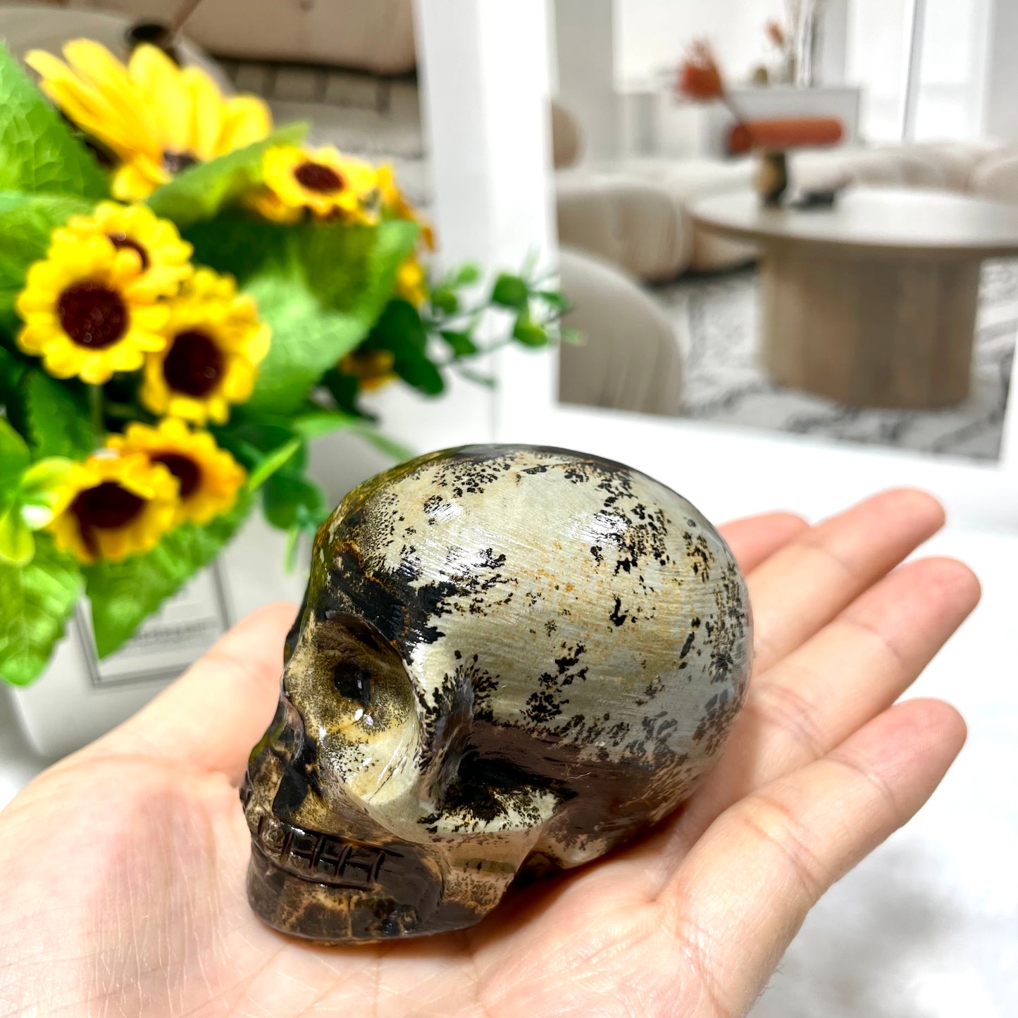 2 Counts Picture Jasper Skull Crystal Carving Healing Stones Natural Stone Chakra Balancing Reiki Home Office Decor From IG Crystal