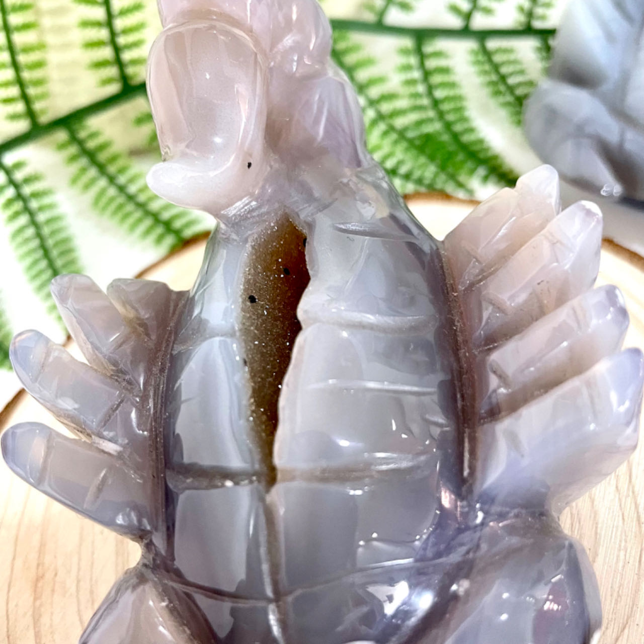 Druzy Crab Natural Raw Geode 1 Count Healing Stone Home Decoration From IG Crystal