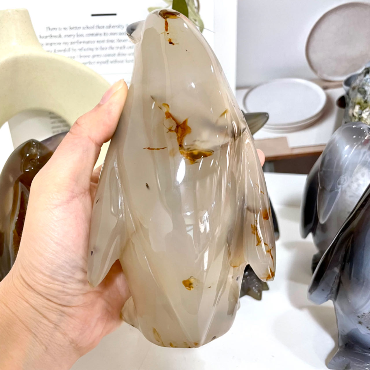 Penguin Druzy Natural Raw Geode From IG Crystal