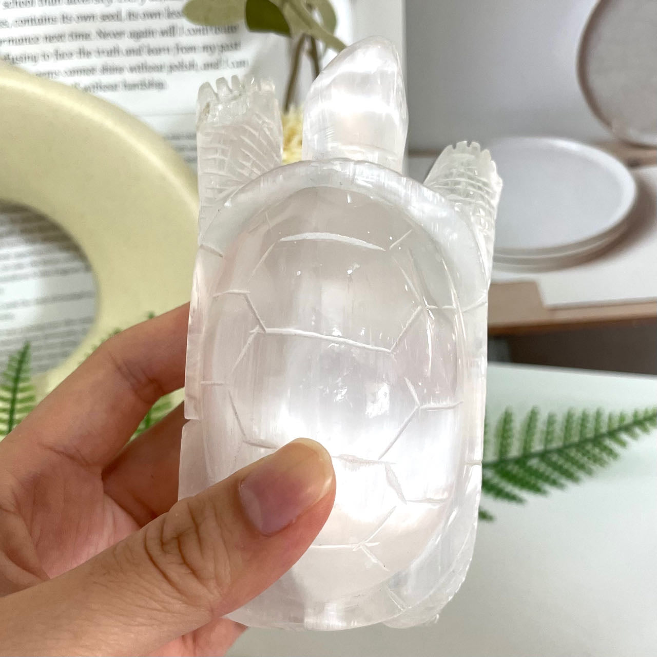 Selenite Turtle Crystal 1PCS Healing Stone for Spiritual Use Home Decor From IG Crystal