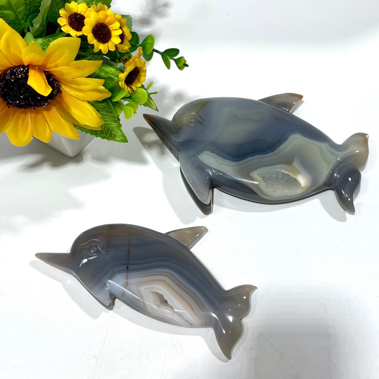 1 Count Geode Agate Dolphin Crystal Healing Crystal Gem Reiki Healing Home Decor Crystal Jewelry Shop Pretty Crystals From IG Crystal