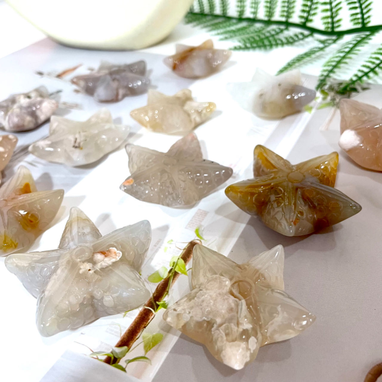 IG Crystal 10 Counts Starfish Shape Crystal Flower Agate Starfish Healing Crystal Home Decoration