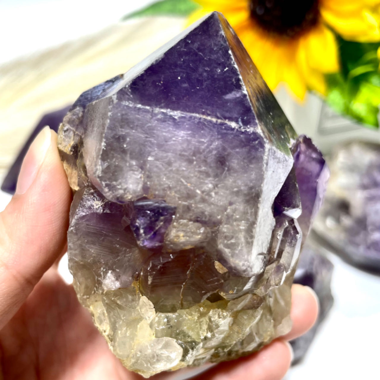 Amethyst Tooth Stone Bulk - Large Raw Deep Purple Amethyst Crystal Natural Banded Amethyst Chunks Natural Crystals Healing Stones Crystal Jewelry Shop Pretty Crystals From IG Crystal