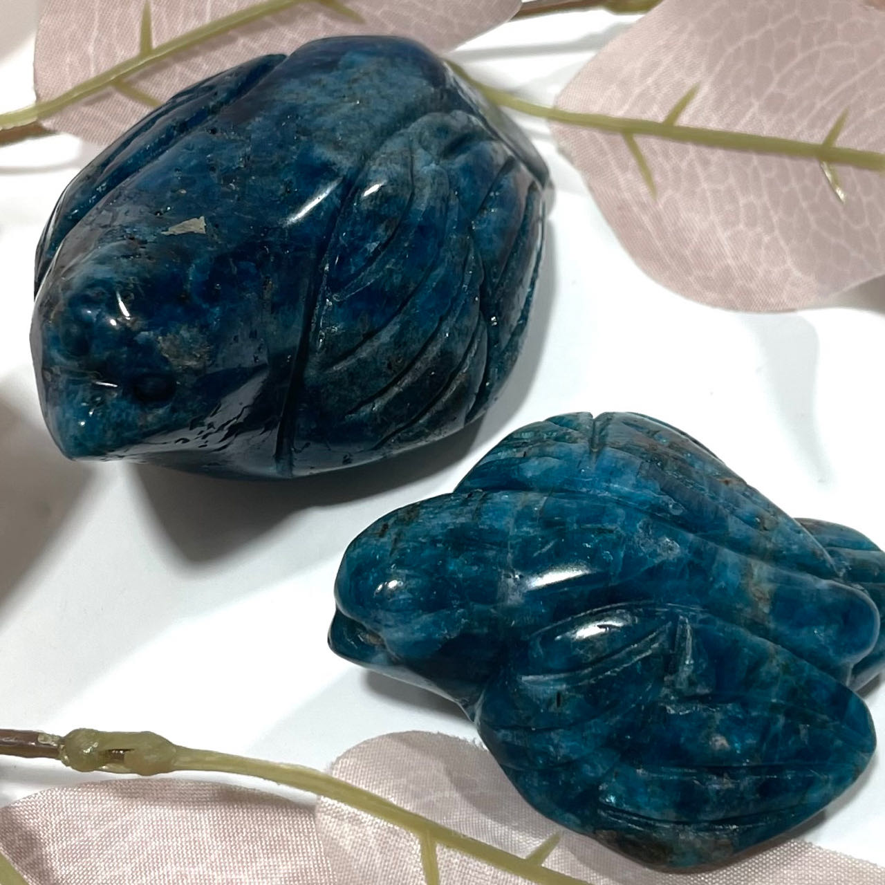 Blue Apatite Bird Crystal Carving Healing Crystal Gem Reiki Healing Home Decor Crystal Jewelry Shop Pretty Crystals From IG Crystal