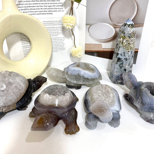 Turtle Druzy Natural Raw Geode From IG Crystal