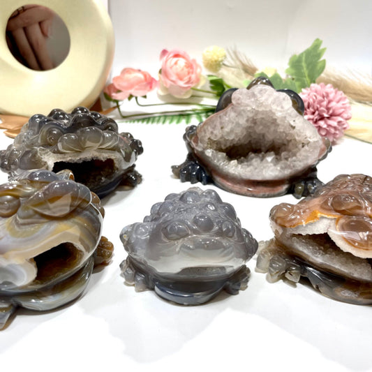 Natural Stone Druzy Agate Toad Crystal Geode Raw Stone For home decor From IG Crystal