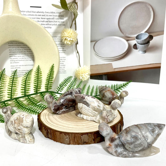 2 Counts Mexican Laguna Lace Agate Snail Crystal Healing Stone Home Decoration From IG Crystal