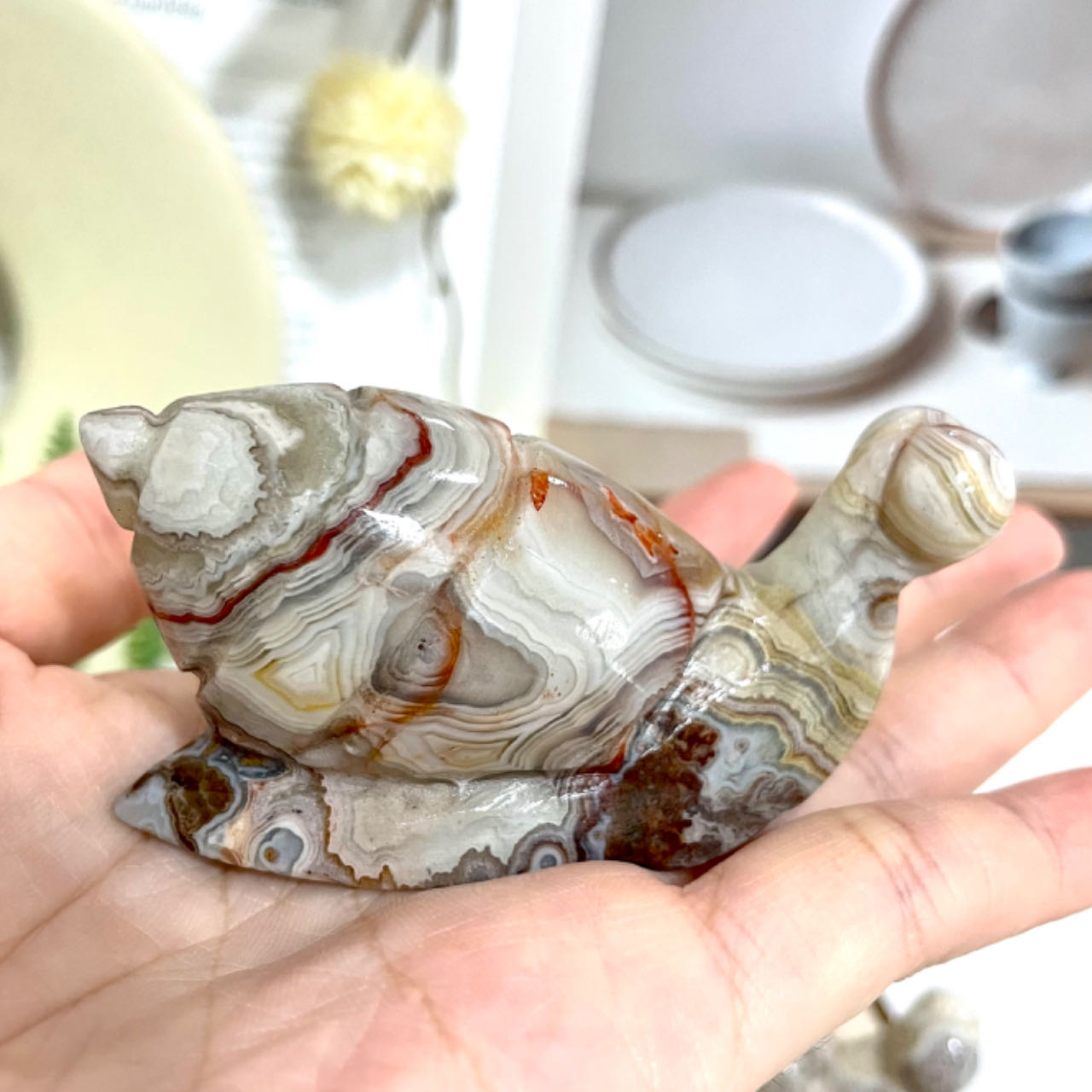 2 Counts Mexican Laguna Lace Agate Snail Crystal Healing Stone Home Decoration From IG Crystal