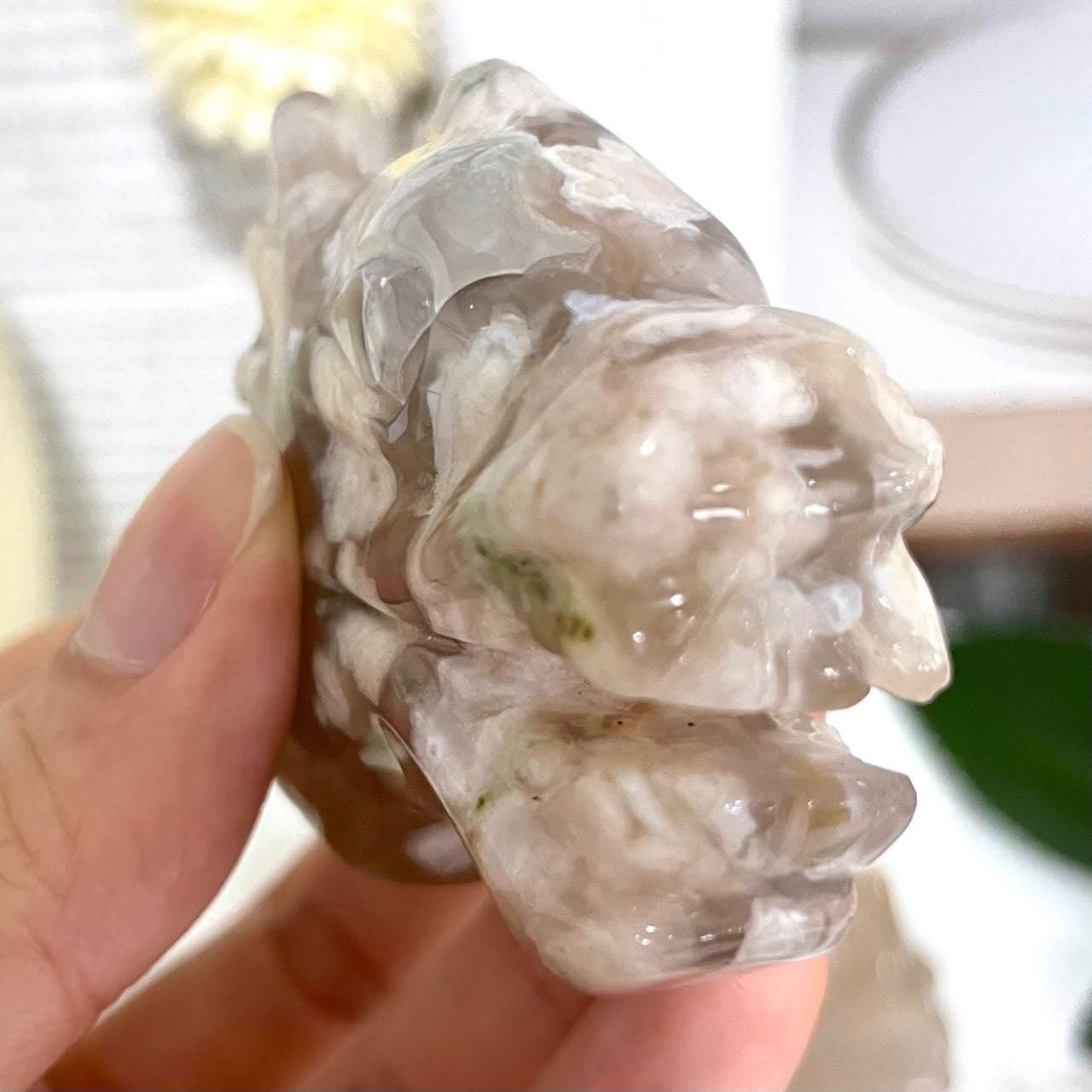 Flower Agate Dragon Head High Quality Natural Crystals (Stochastic 2pc) From IG Crystal