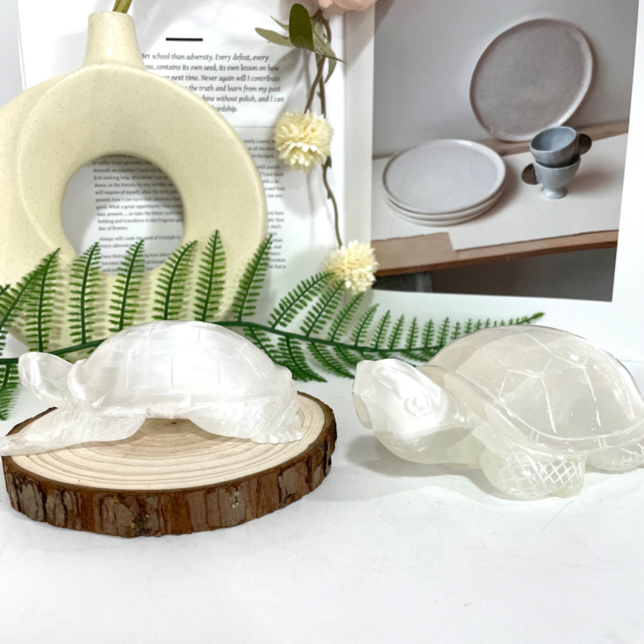Selenite Turtle Crystal 1PCS Healing Stone for Spiritual Use Home Decor From IG Crystal