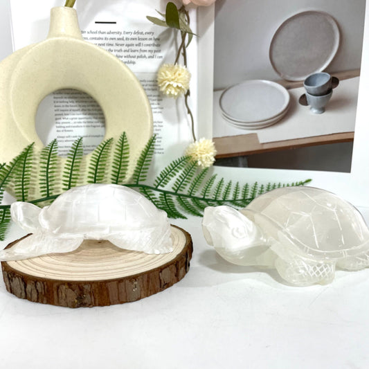 Selenite Turtle Crystal 1PCS Healing Stone for Spiritual Use Home Decor From IG Crystal