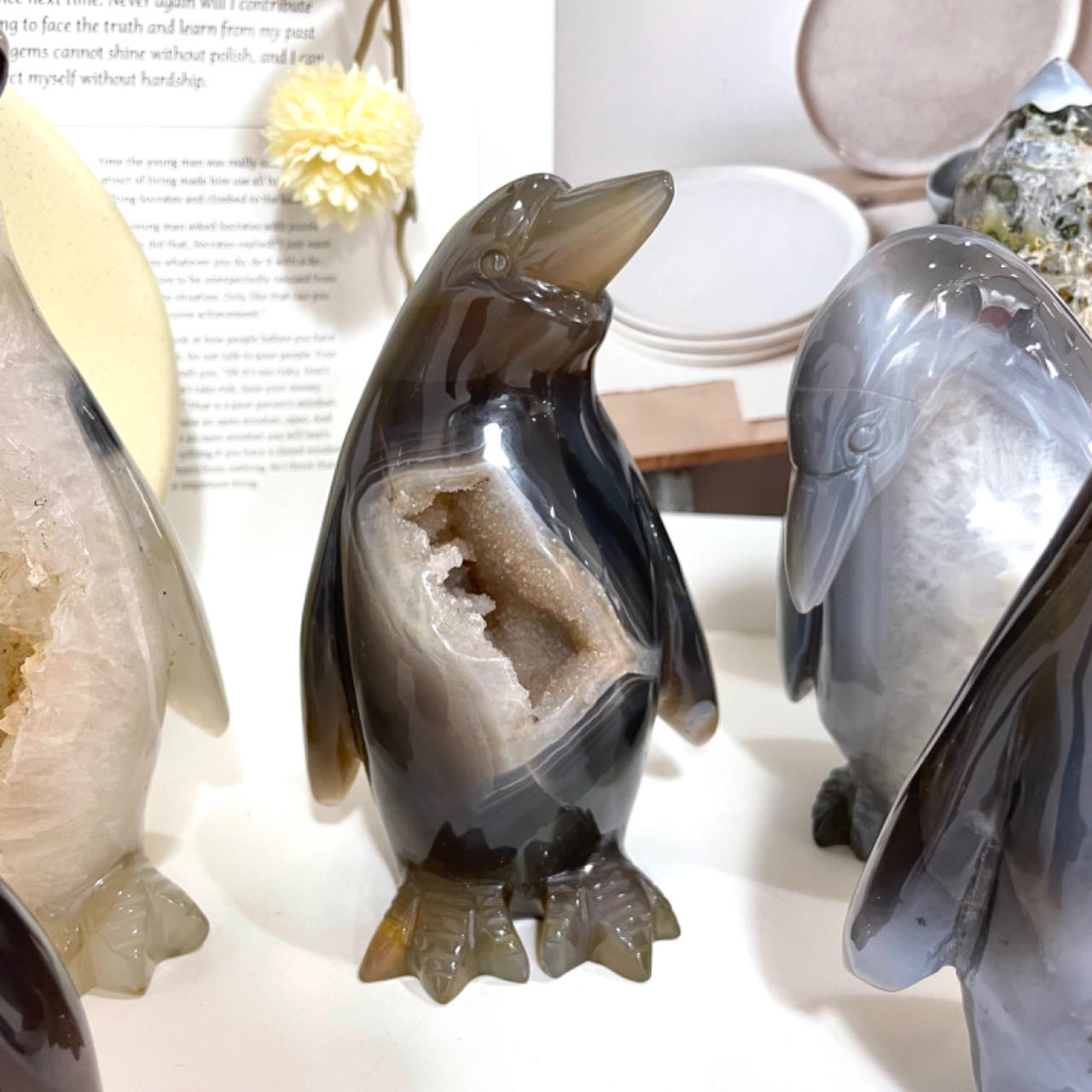Penguin Druzy Natural Raw Geode From IG Crystal